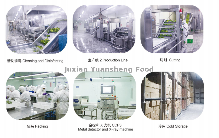 workshop 2 werkplaats 2