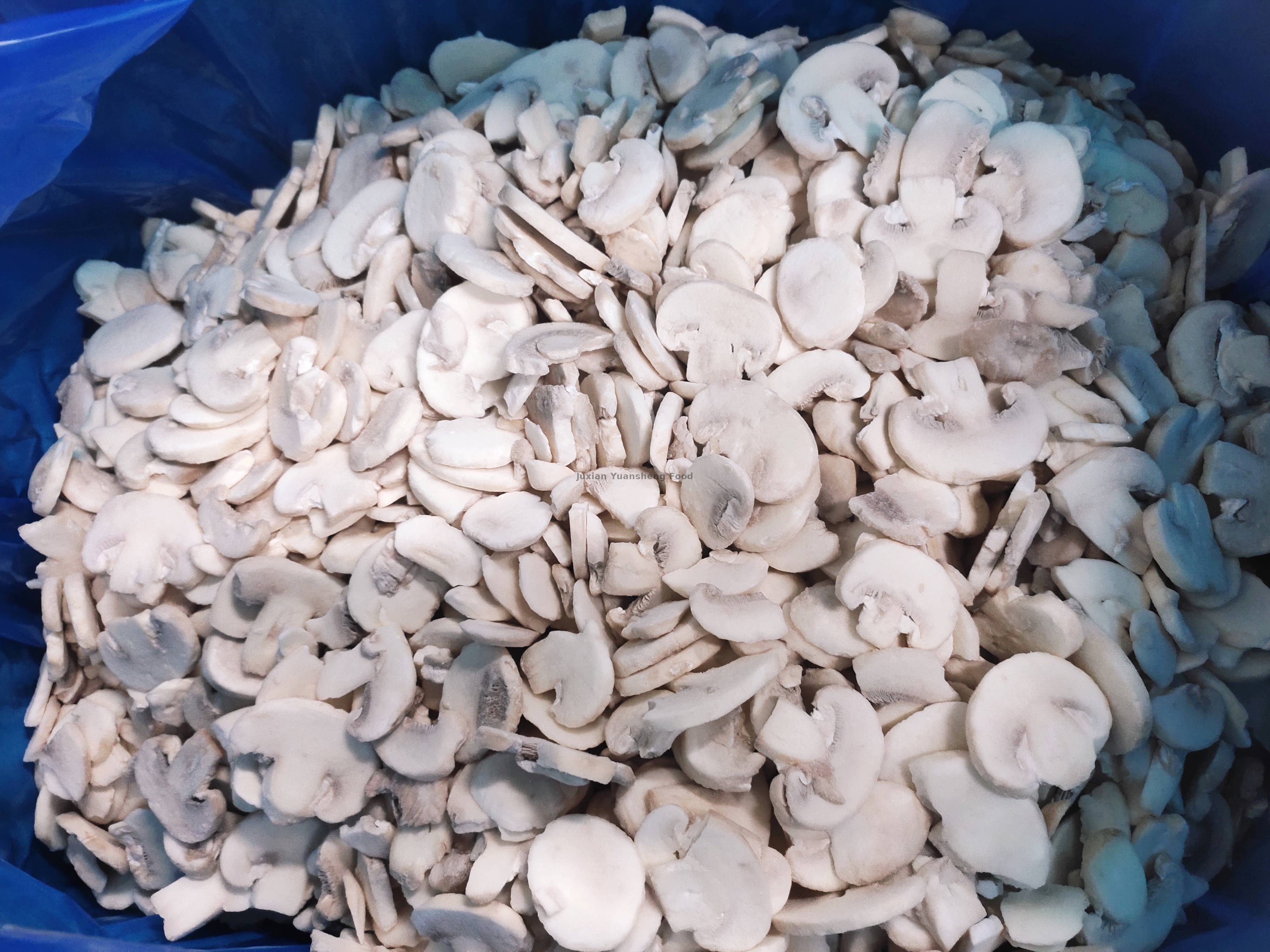 Geen conserveermiddelen Frozen Mushroom Grade A