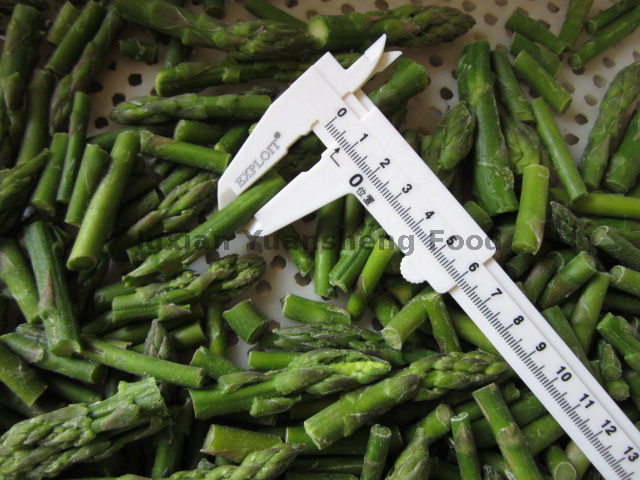 Grade A Frozen Asperges Tips en Cuts met BRC-certificering