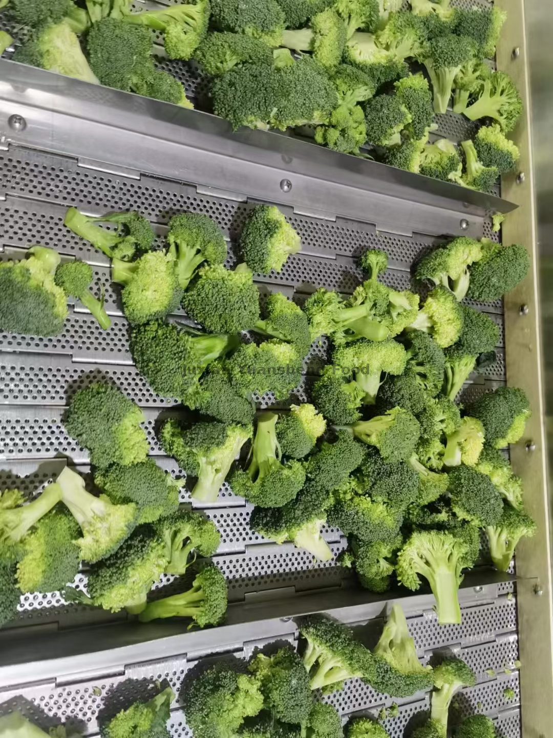 BRC-certificering Bevroren Broccoliroosje Rijk aan voedingsstoffen Niet-GMO