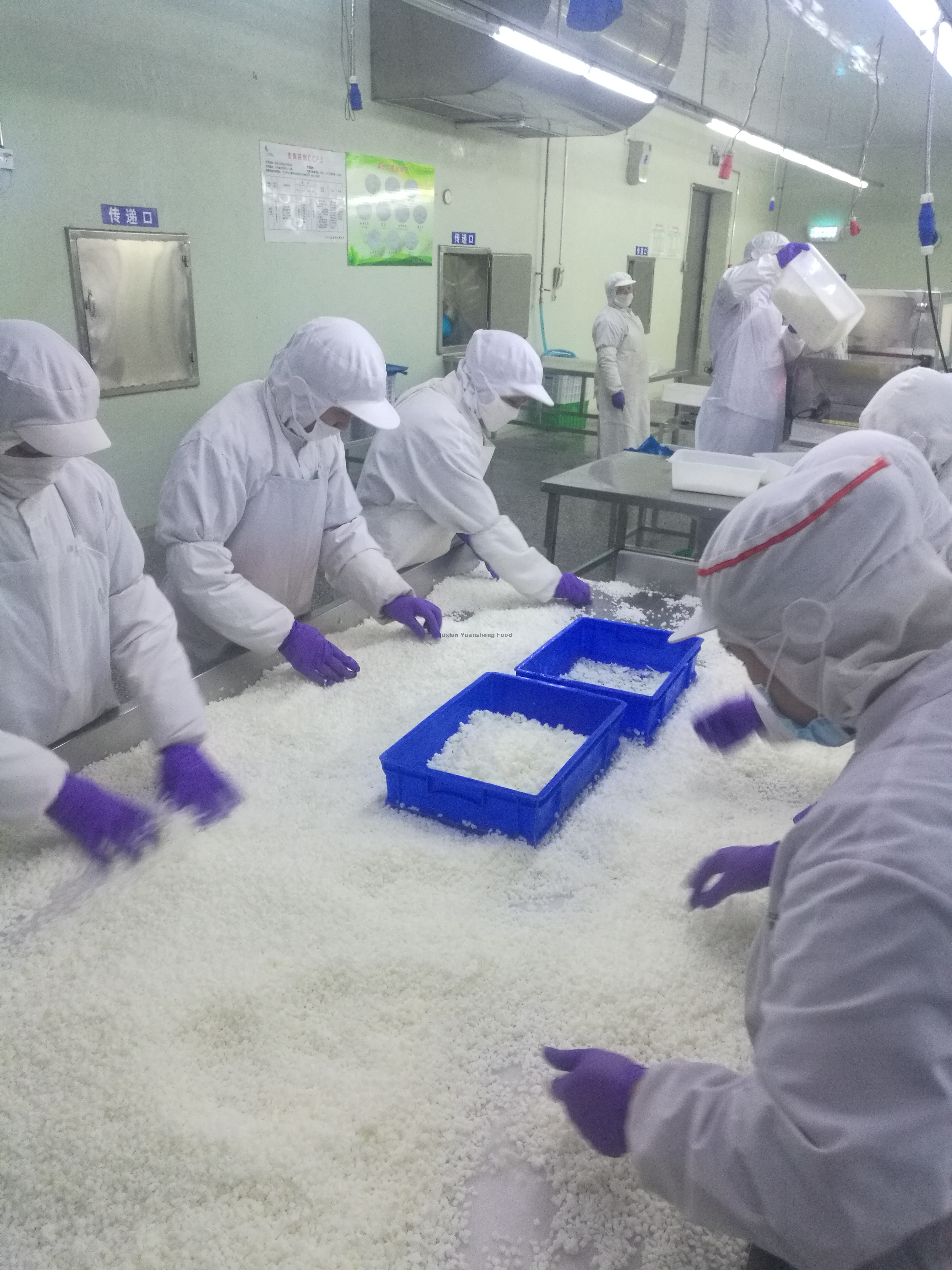 24 、 速冻包装间再次挑选