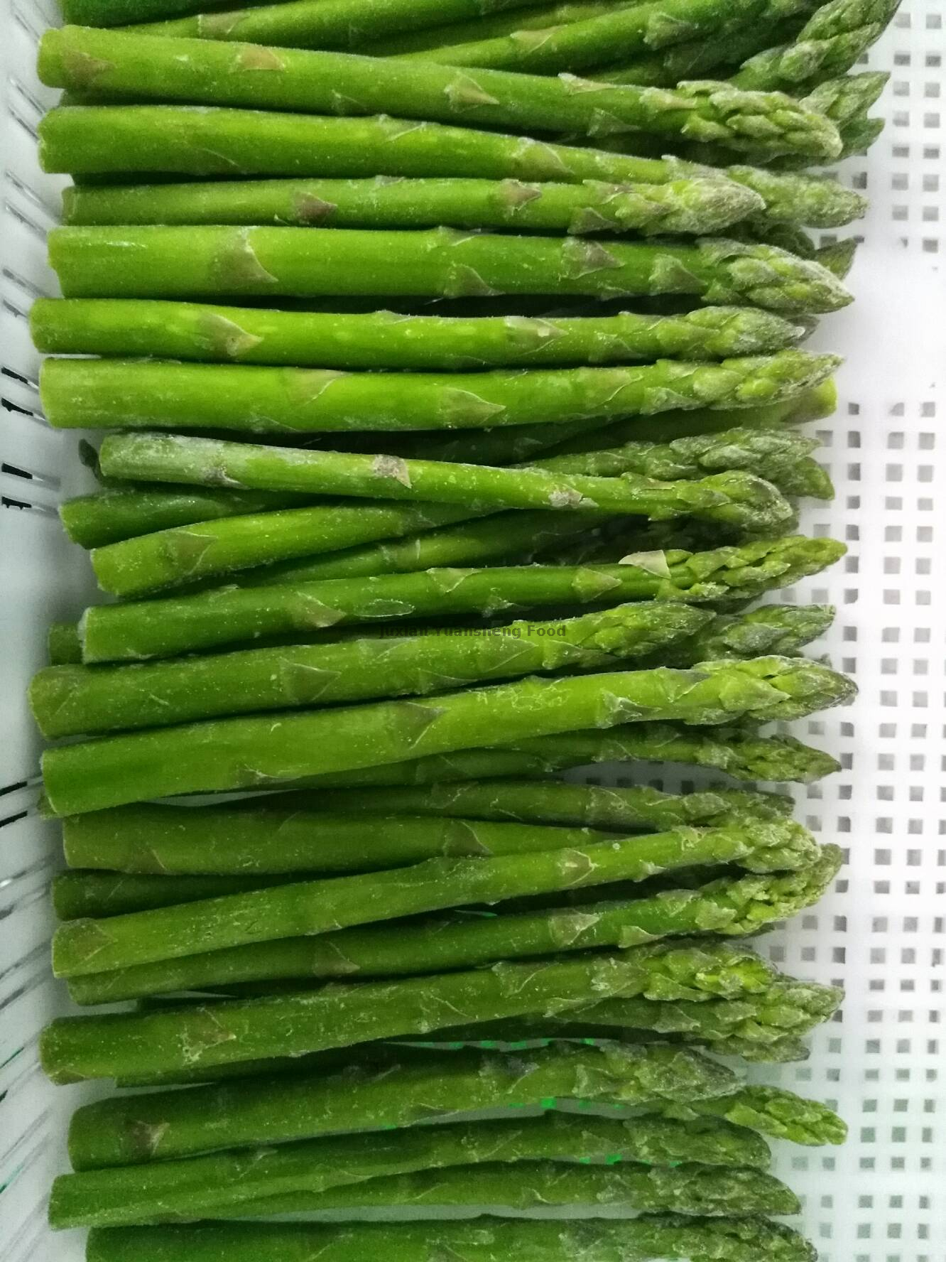 Bevroren groene asperge-lentegewas met goede kwaliteit en beste prijs