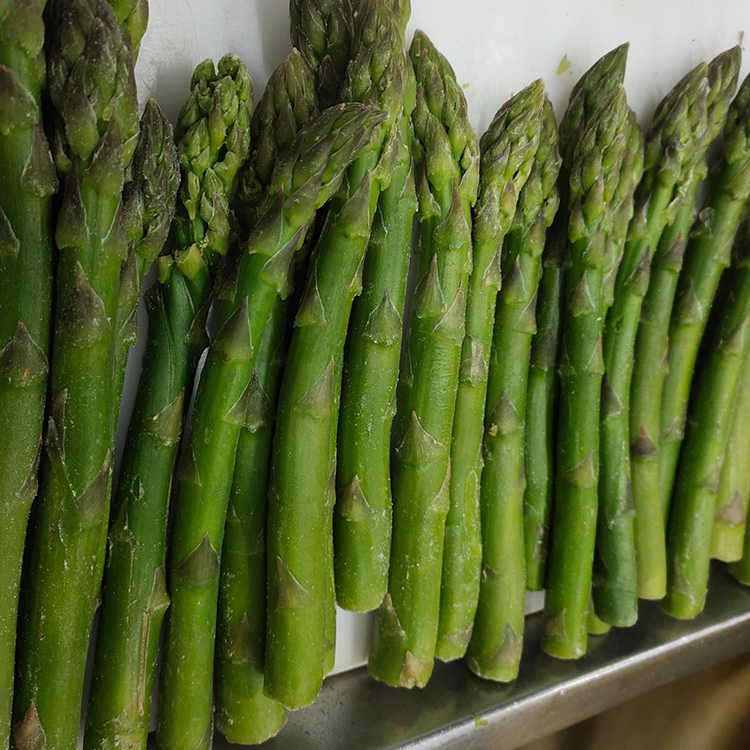 Groothandel diepgevroren groene asperges met hoge kwaliteit