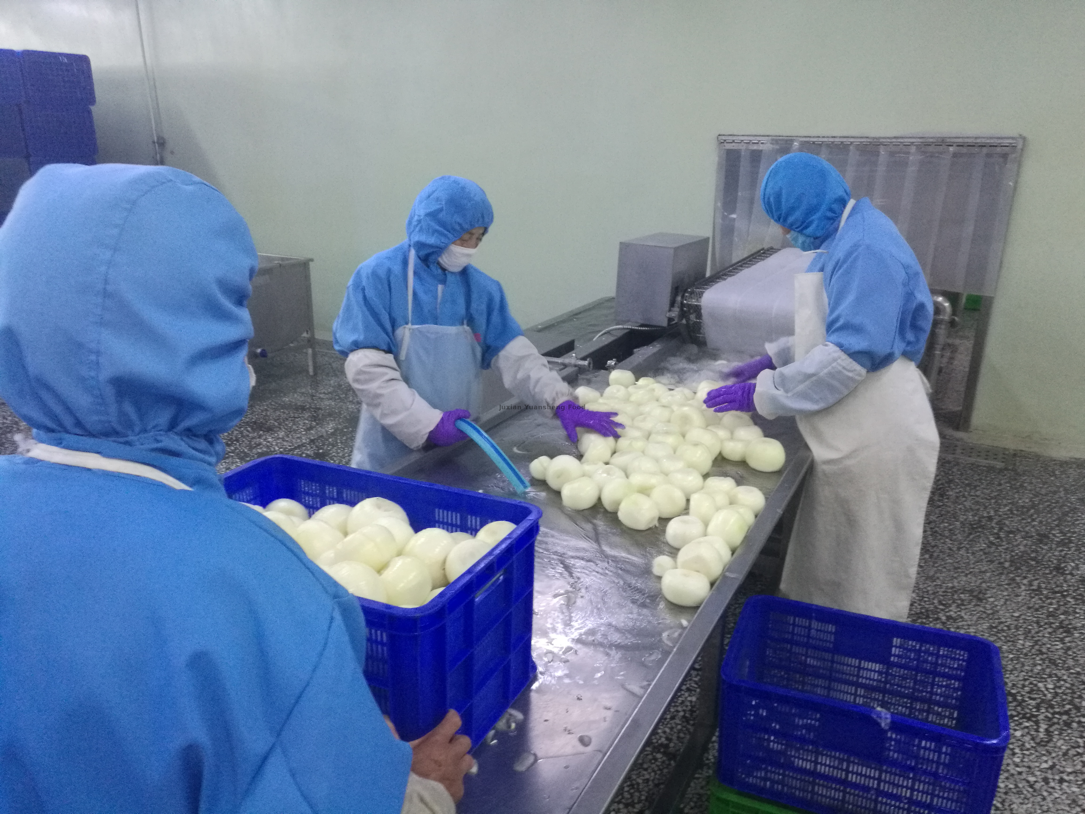 10 、原料工作台清洗挑选