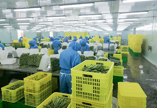 4_0000_粗加工-Ruwe productie