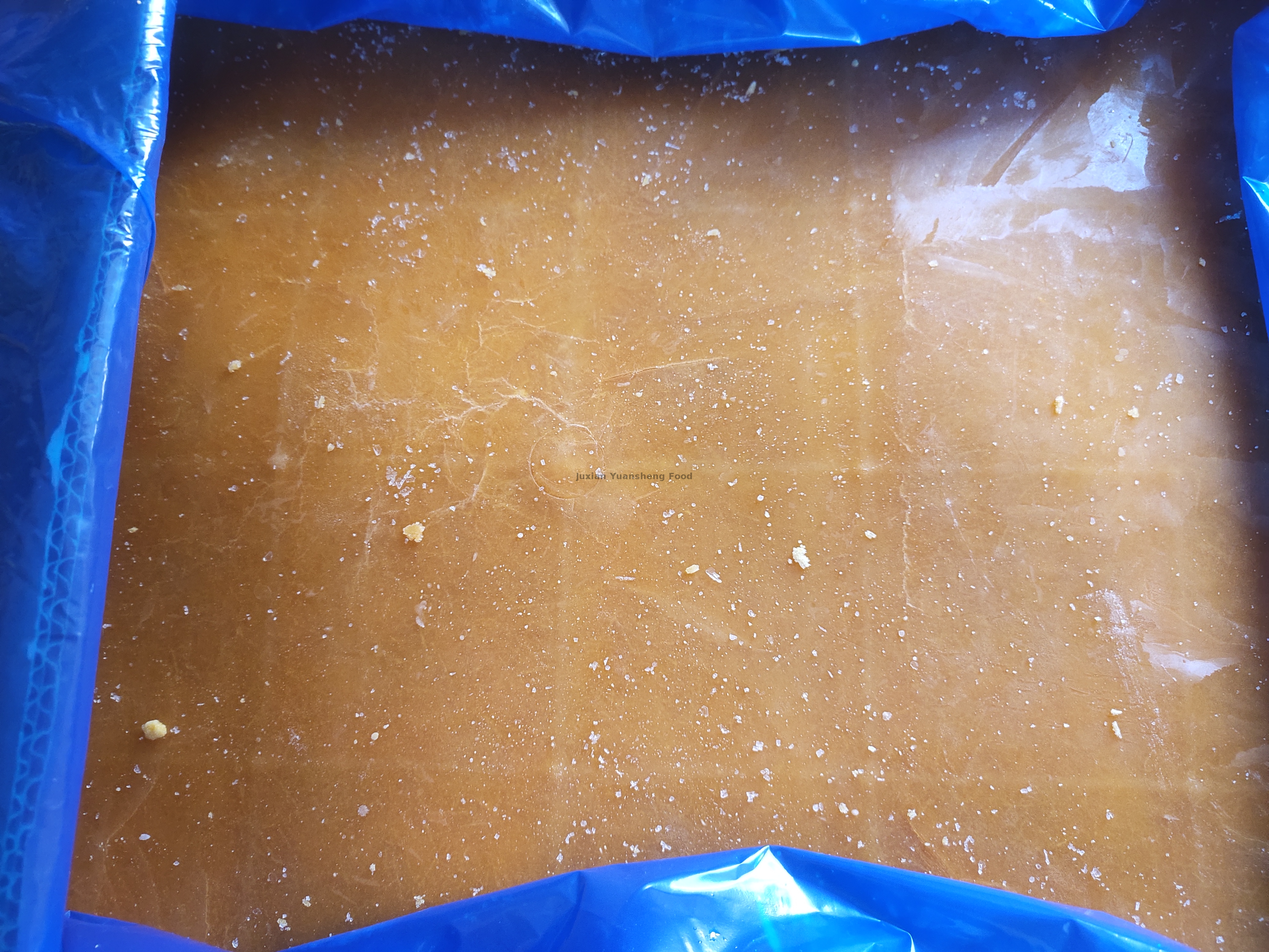 pompoen 2 (7) - 副本