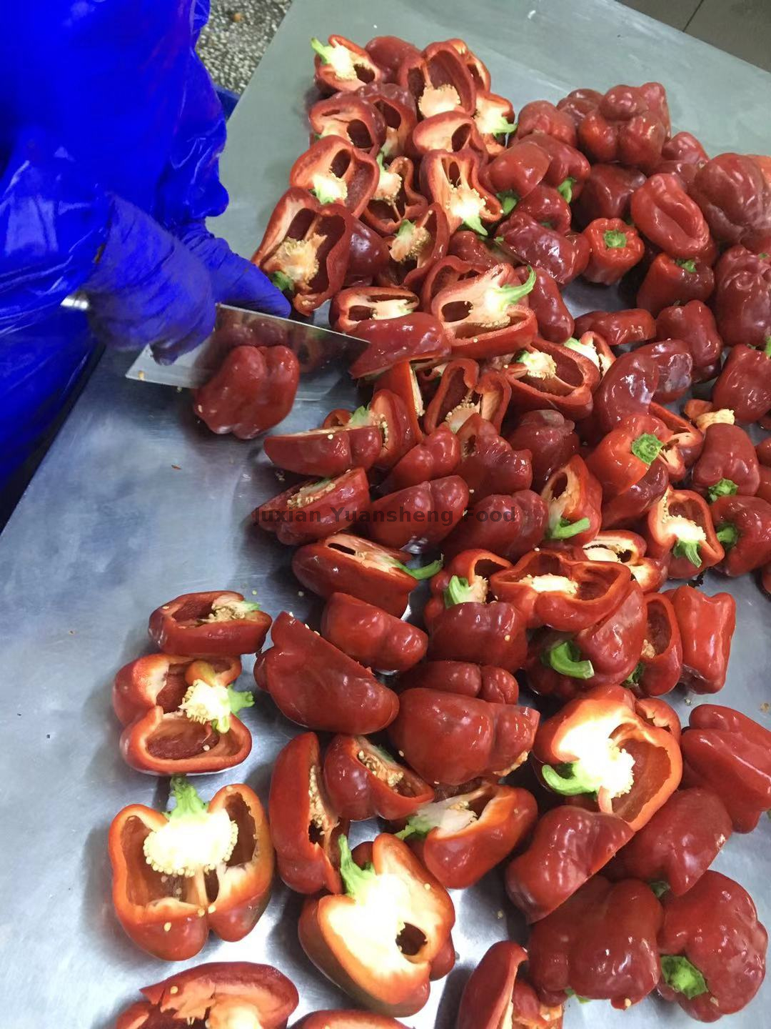 Bulk Bevroren Rode Paprika Dobbelstenen 