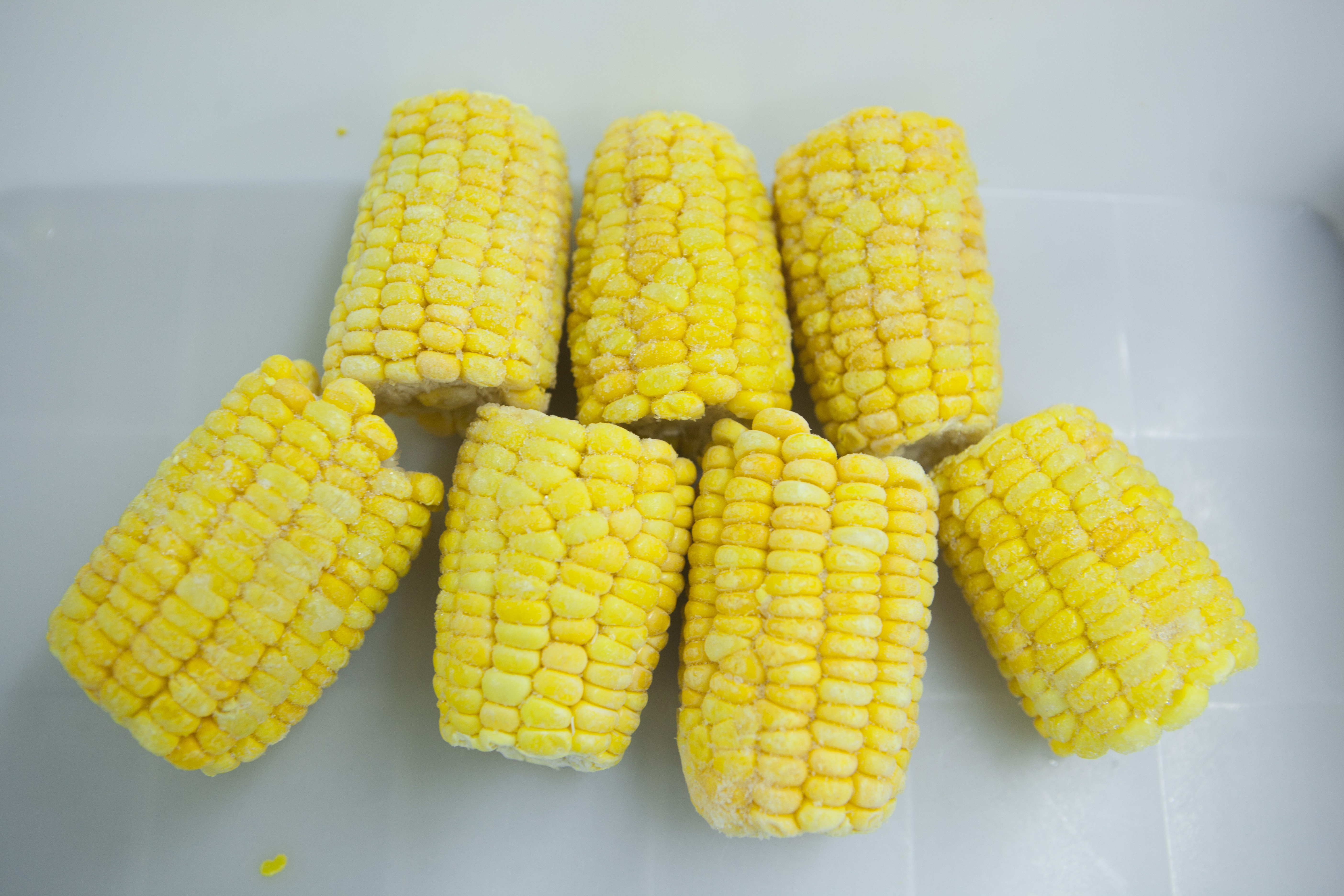 Bevroren Suikerma&iuml;s