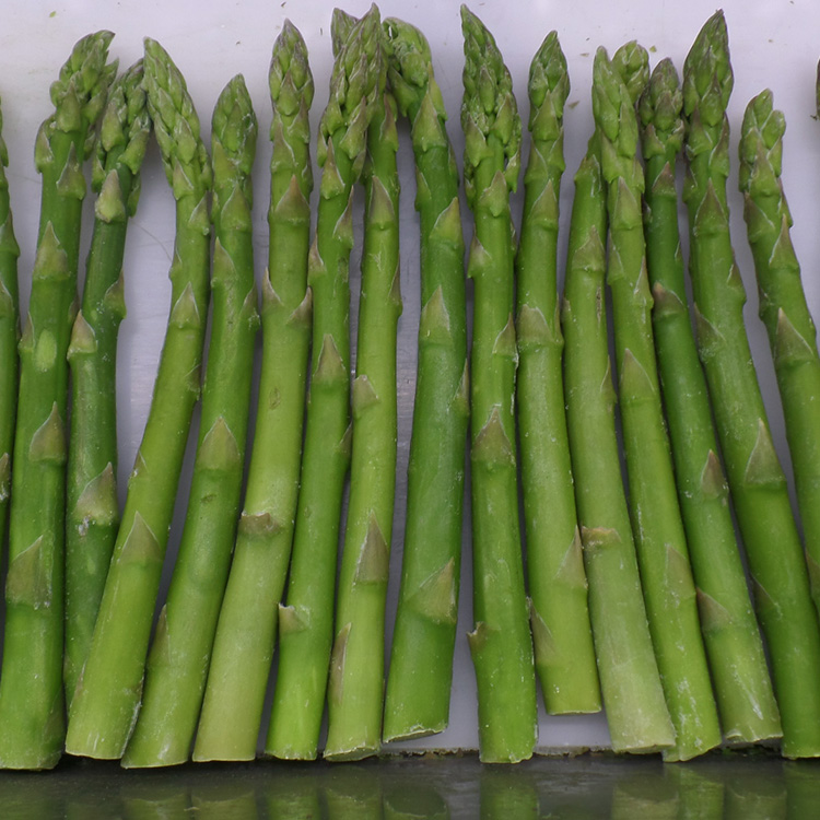 Groothandel diepgevroren groene asperges met hoge kwaliteit