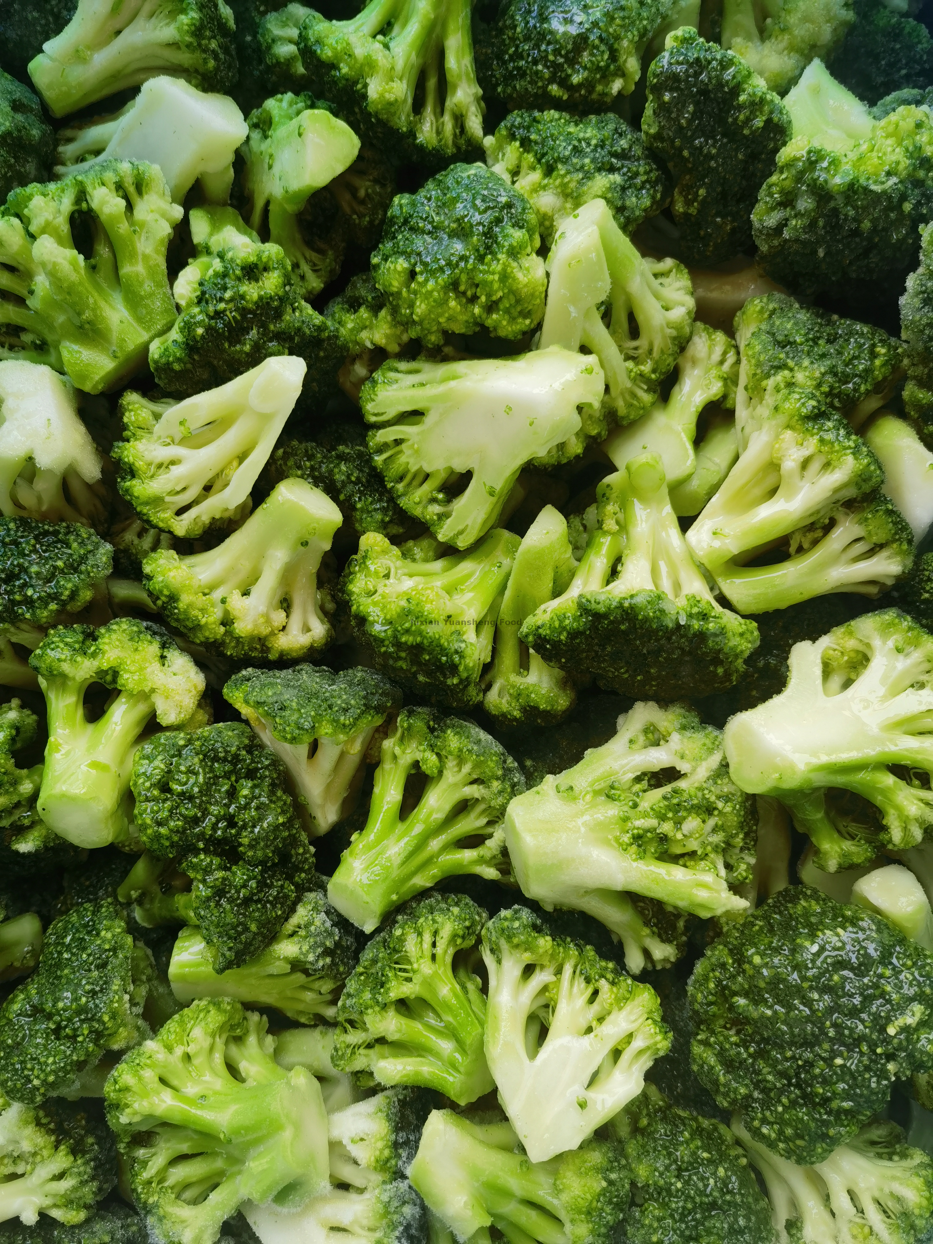 100% Natuurlijke Bevroren Broccoli met Typische Smaak Uit China