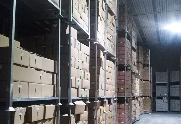 100% Vers Bevroren Knoflook Puree Pellets Koude Opslag