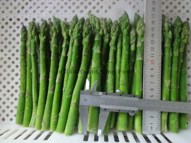 Bevroren groene asperge-lentegewas met goede kwaliteit en beste prijs