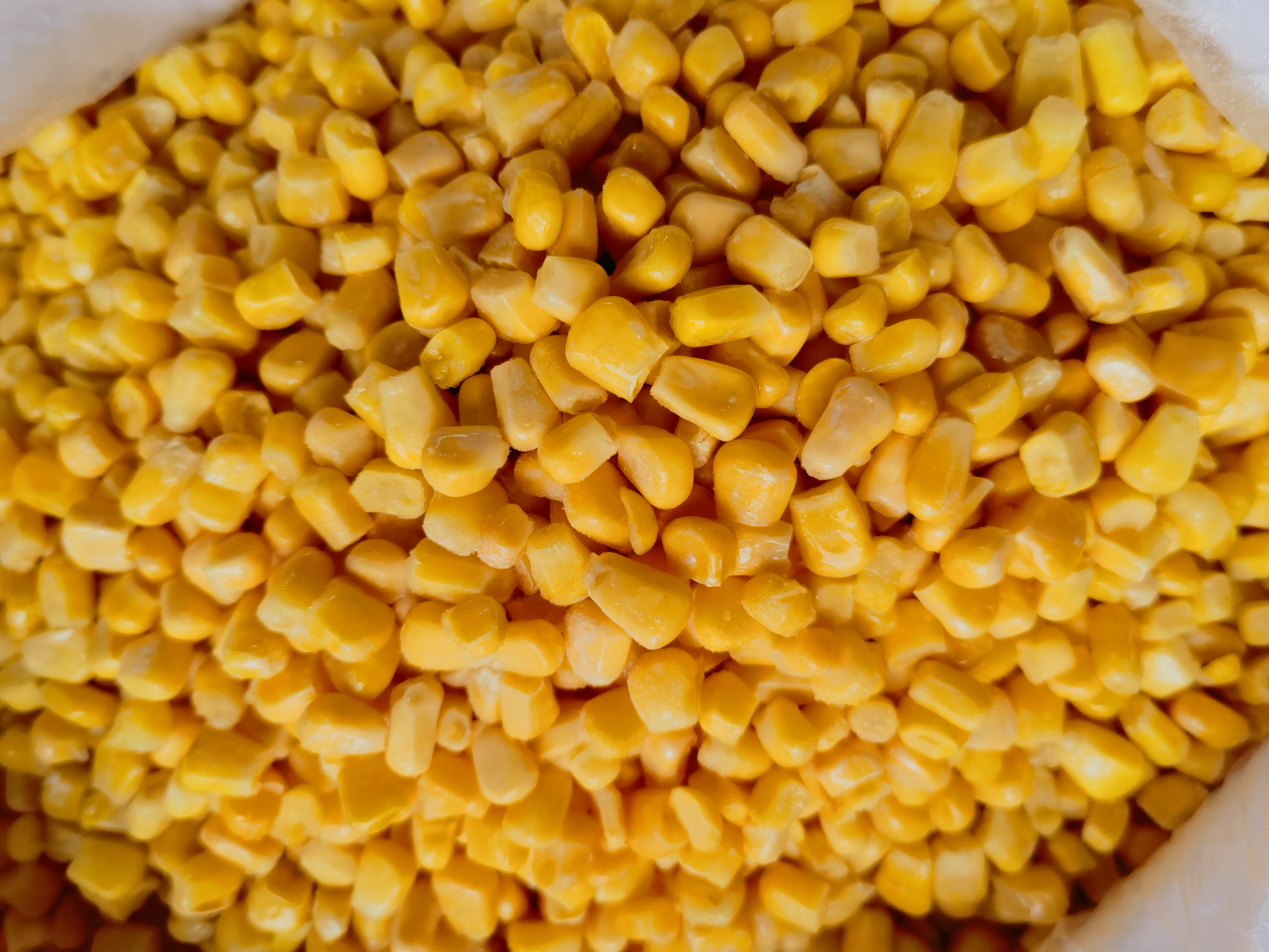 BRC-certificaat Frozen Sweet Corn Kernel met hoge kwaliteit